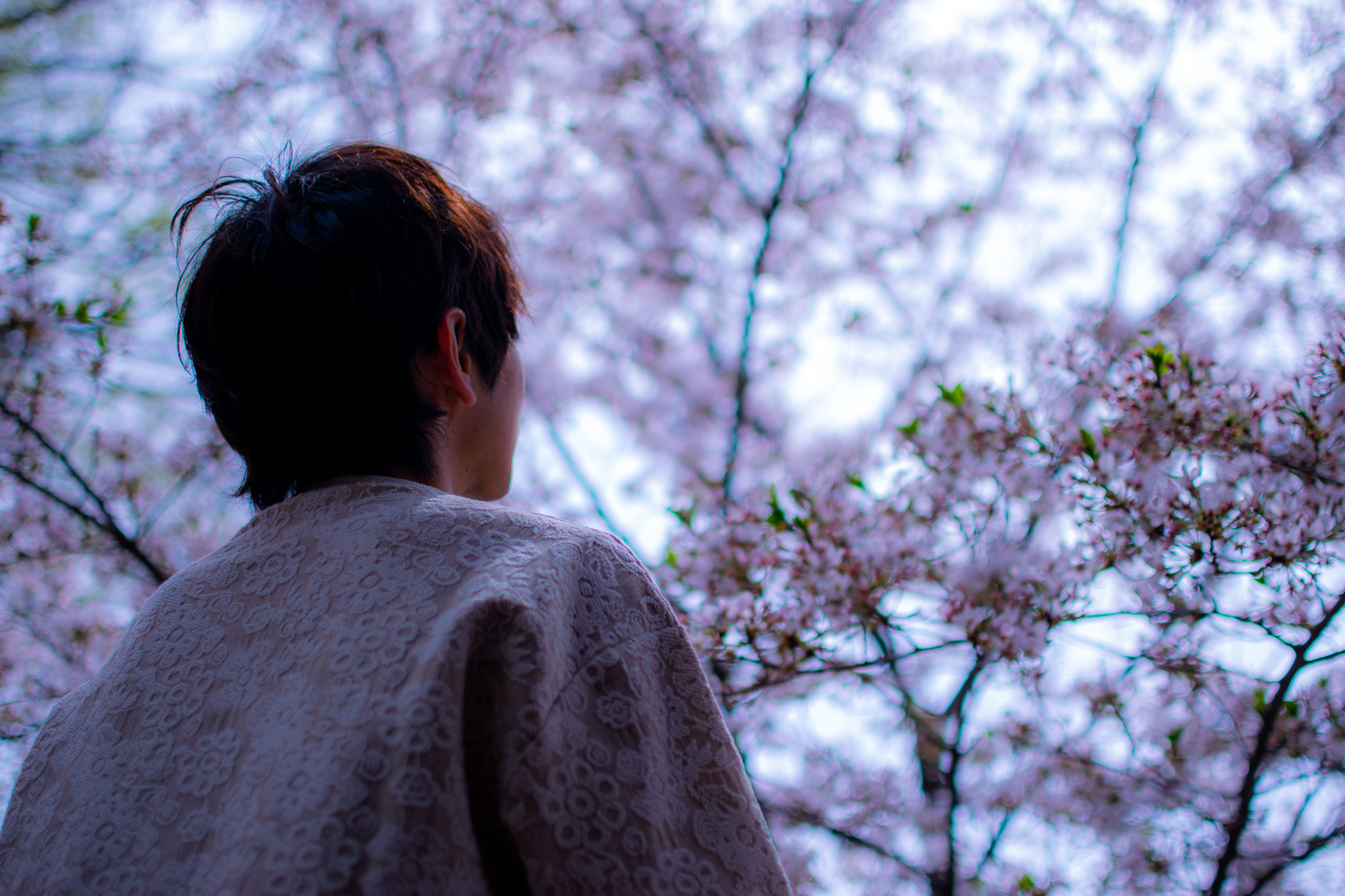 作品名：風景写真