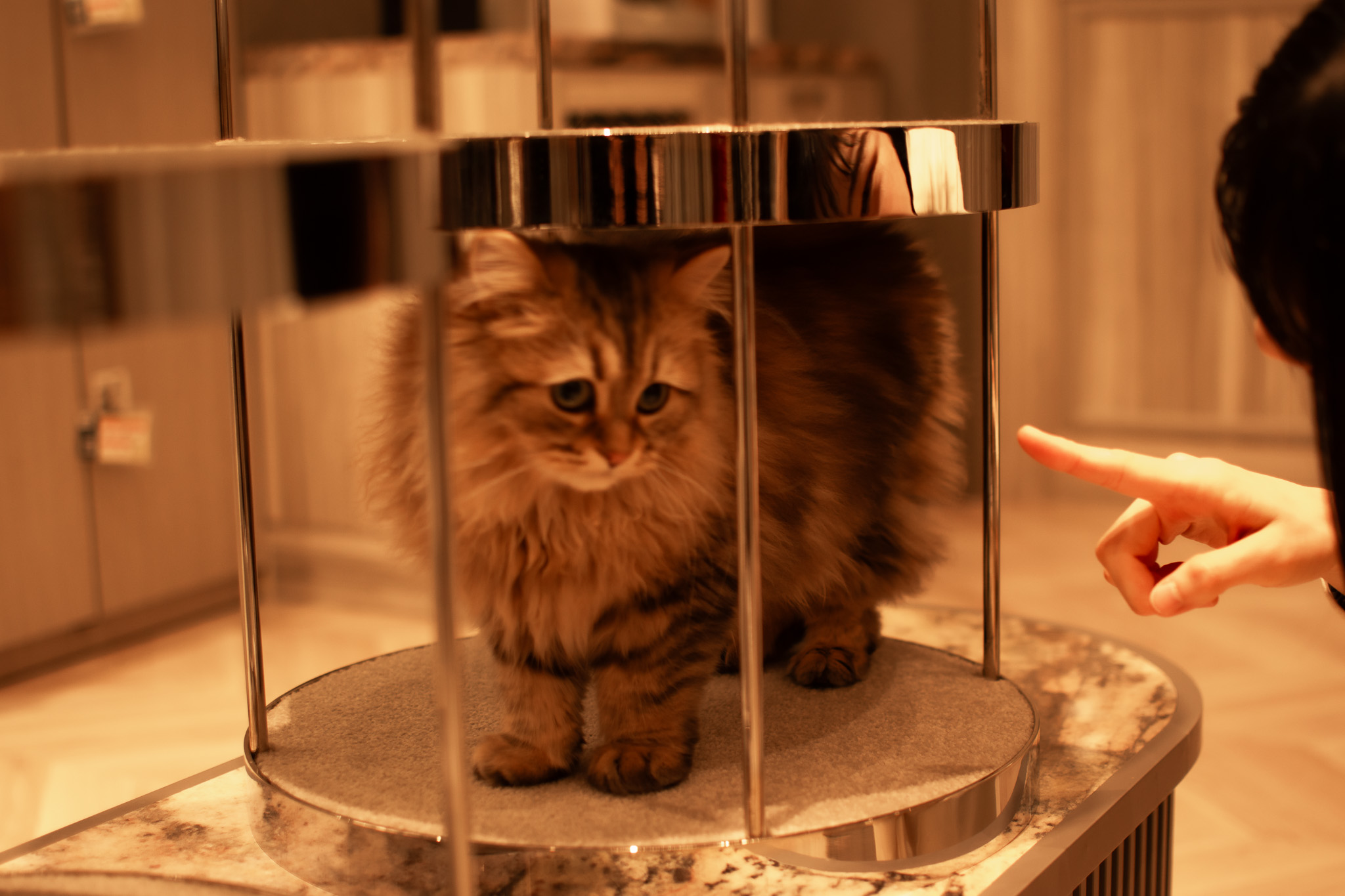 作品名：イベント